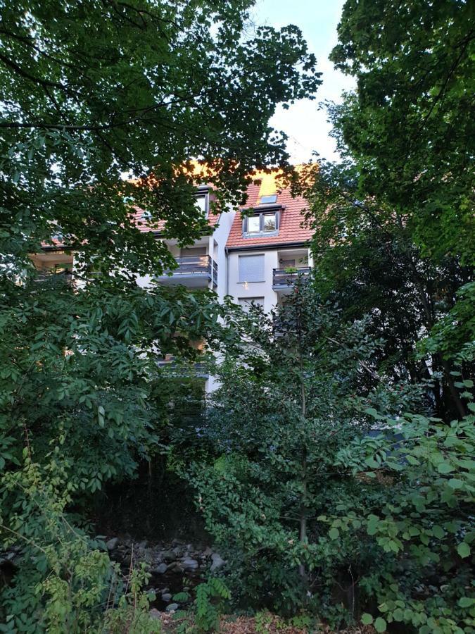 Nest Munster Munster (Haut-Rhin)